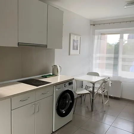 Mineral Apartment *