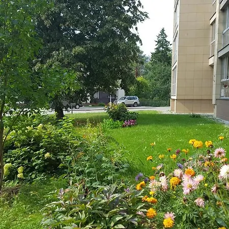 Mineral Apartament *