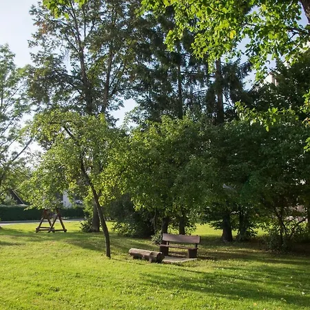 Mineral * Druskieniki