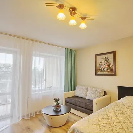 Mineral Apartament *