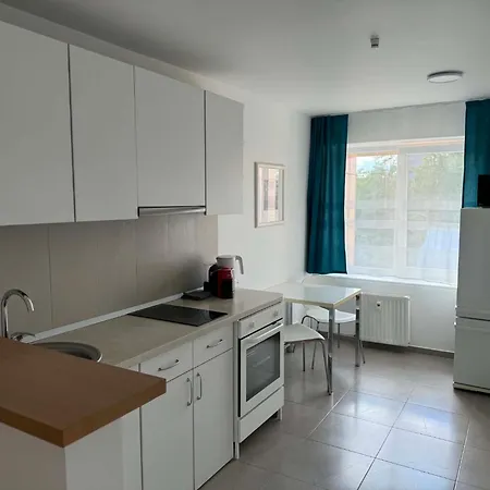 Mineral Apartment Druskininkai