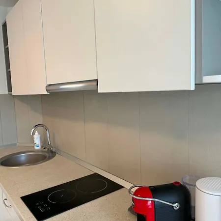 Mineral Apartment *