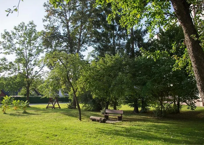 Mineral * Druskieniki